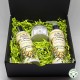Gift box to argan oil
