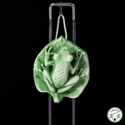 Scented plaster diffuser - Frog